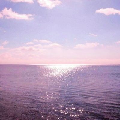 天岚主宰九游版下载