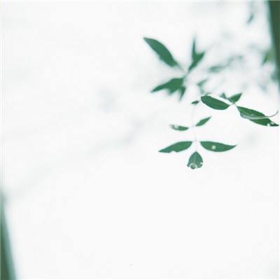 野外生存孤岛求生手机版下载